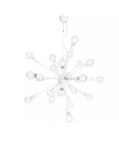 By Rydéns Leo kattovalaisin